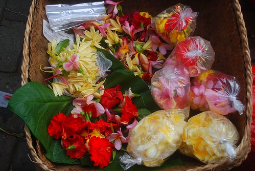 Bali flowers 2