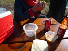 bbq picnic