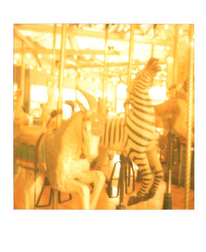 merry-go-round :: zebra