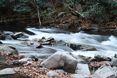 Smoky Mountain creek