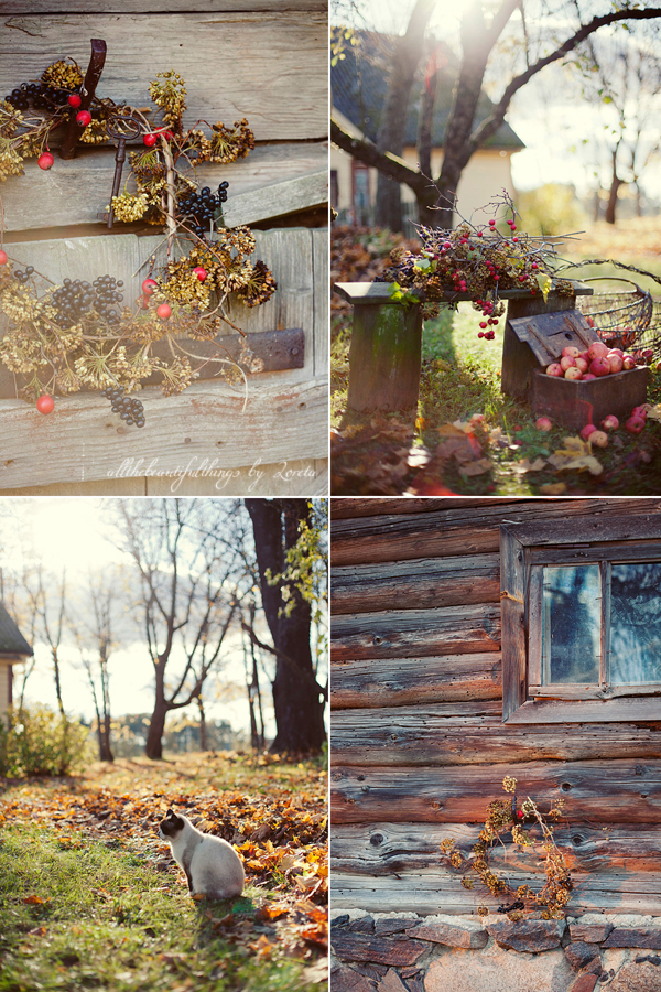 I ♥ Autumn