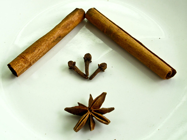 IMG_1846 玉桂皮cinnamon sticks ，丁香clove和八角anise star