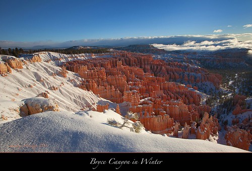 Bryce Canyon in Winter by Joalhi "Around the World"