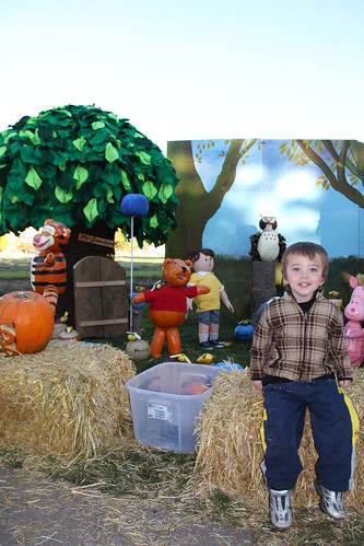 Olsen with Pooh Bear pumpkins