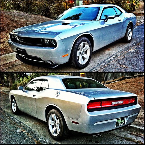 298/365 - Dodge. Challenger. by Diane Meade-Tibbetts