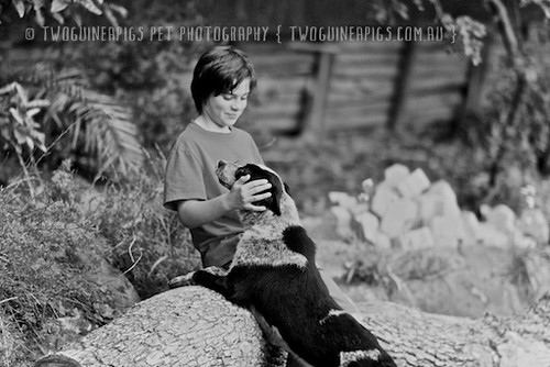 7. twoguineapigs-_MG_3981-taylor+fosters by twoguineapigs pet photography