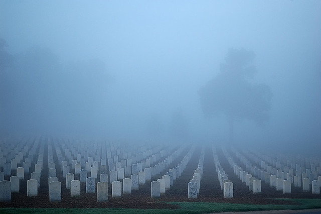 Jefferson Barracks National Cemetery, in Lemay, Missouri, USA - in fog at sunrise - 2