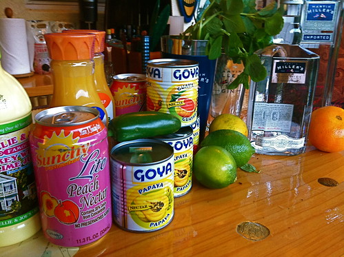 Martin Miller's Gin "Sex y La Playa" Cocktail