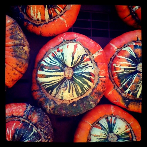 turban pumpkin