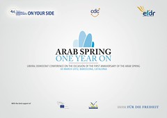 Arab Spring, one year on [CONFERENCE]