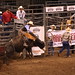 Bull Riding Cedar Park Rodeo