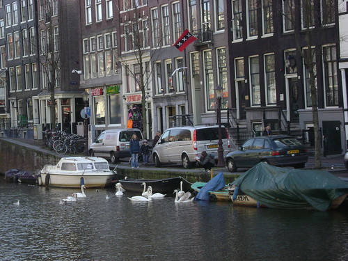 Cisnes, Barrio Rojo, Ámsterdam, Holanda/Swans, Red Light District, Amsterdam' 11, The Netherlands - www.meEncantaViajar.com by javierdoren