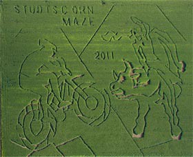 Studt's Corn Maze