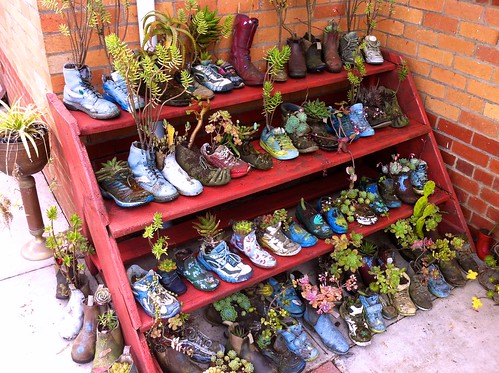 Succulent Footwear Garden 3 by Sentience