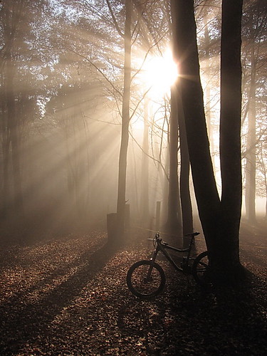 Sun, Fog and Bike