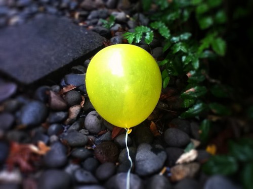 balloon by Nature Morte