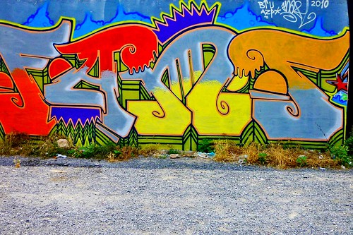 P1050460-graffitis by pelz