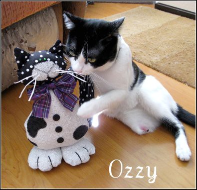 Ozzy -blog
