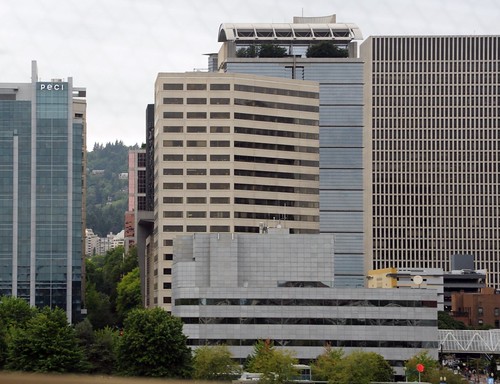 They all have a personality, gray buildings in a canyon between modern architecture, buildings, Portland, Oregon, USA by Wonderlane