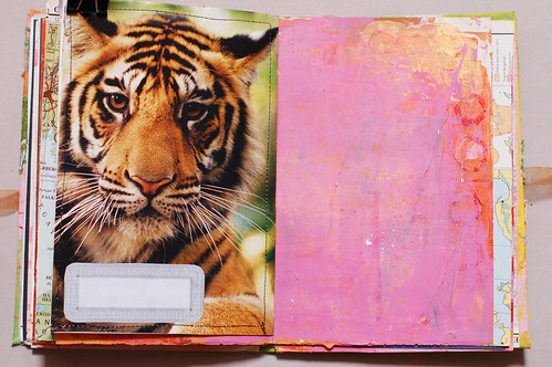 Journal of Scraps I: tiger power