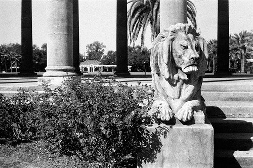 city park lion