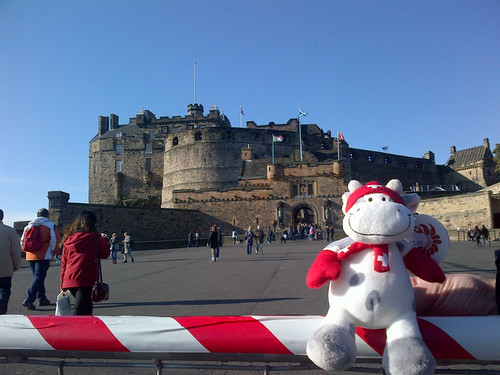 Cowzen at the castle in Edinburgh