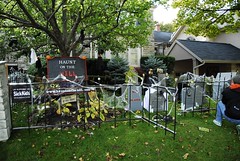Front yard Grave yard