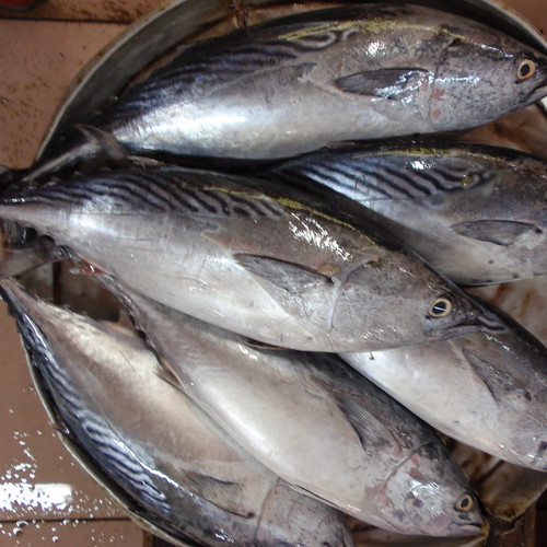 Kota Bharu market- fish