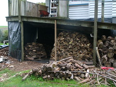 20110502c Wood shed