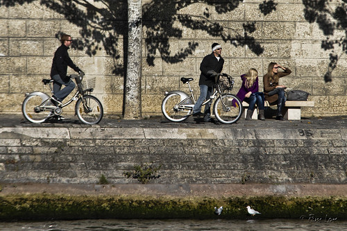 Seine bank bikes