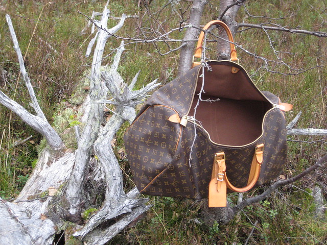 LV in the woods