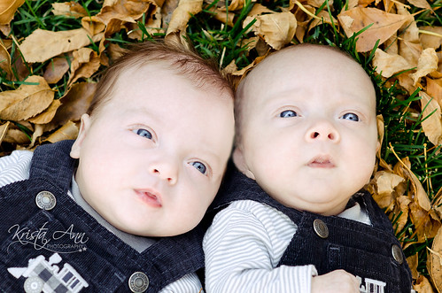 twins-in-leaves