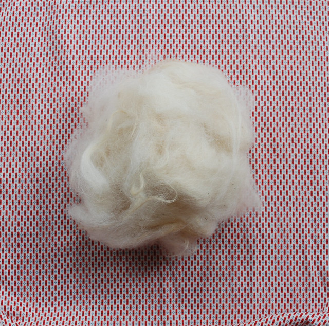 llama wool from Eduardo