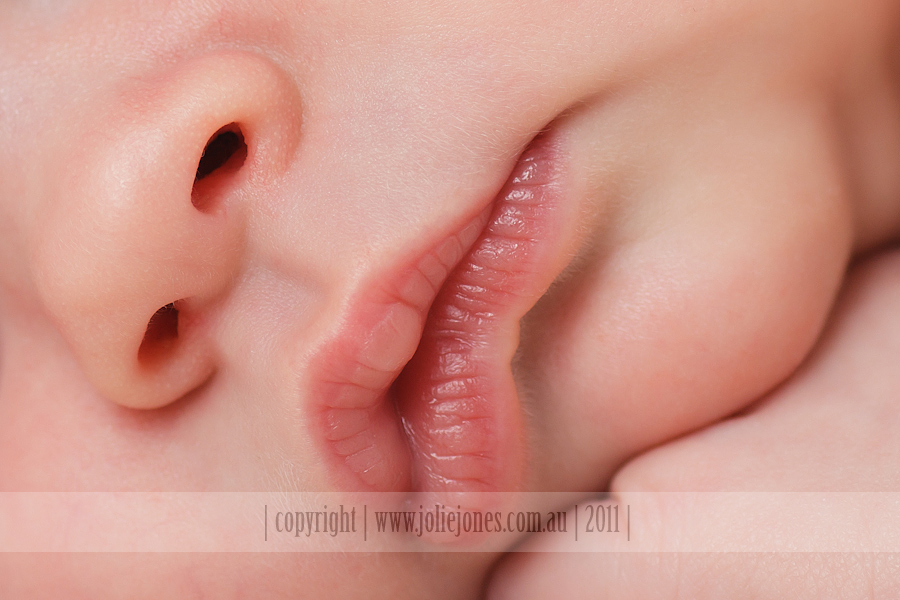Canberra Newborn Baby Photographer Photography Photo