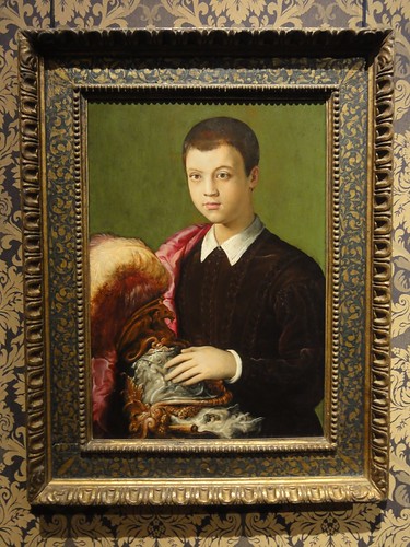 Portrait of an Aristocratic Youth (possibly Gian Battista Salviati)