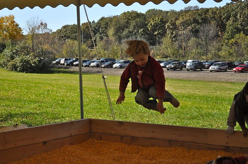 corn box- jumping