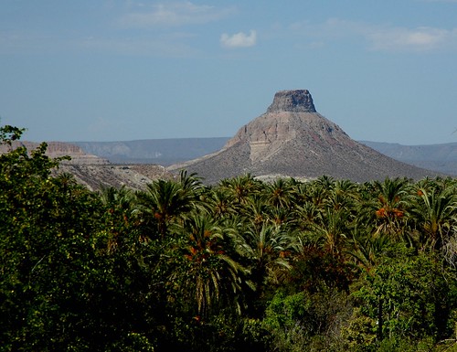 Volcanic plug, volcano cone, palms, dry branches, desert, La Purisima / San Isidro, West Coastal, Baja California Sur, Mexico by Wonderlane