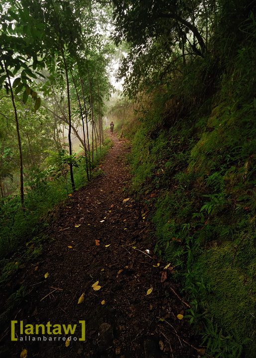 Trail to Imugan Falls 2