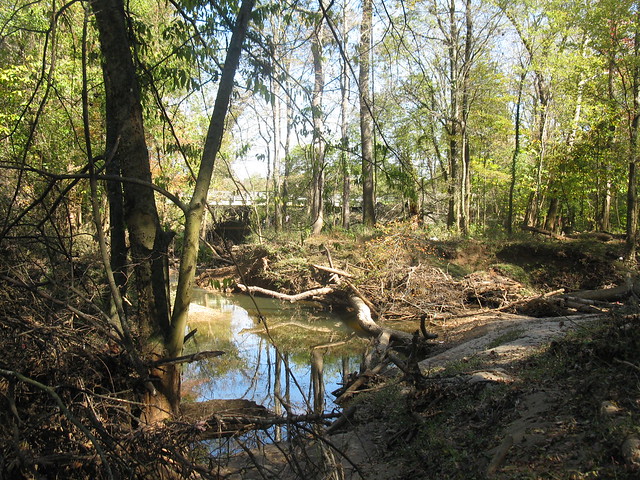 Old channel on the right, new channel on the left (photo by A. Jefferson, 2011)