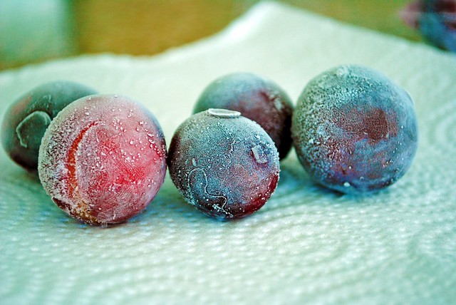 frzgrapes