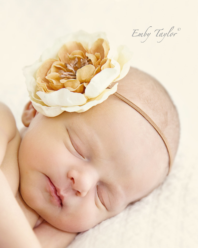 Miss E Kannapolis nc Photographer newborn childrens maternity photography