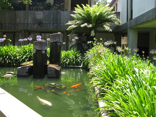 The Porter koi pond. This continues to be on of my all-time favorite water feature, fountain things.