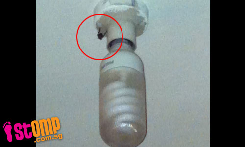 HDB resident stung by bee from 'monster' hive in condo: Who should pay?