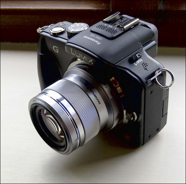 Panasonic G3 Olympus 45mm f/1.8