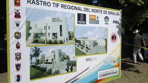 Rastro TIF Regional del Norte de Sinaloa by Ramiro Ibarra