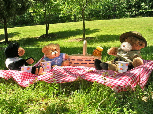 Leesylvania State Park will be hosting a Teddy Bear Picnic themed blanket-making event at the Visitor Center. 