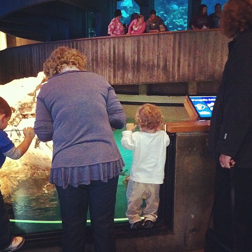 Looking at the penguins with Gigi