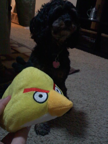 Angry Birds dog toy