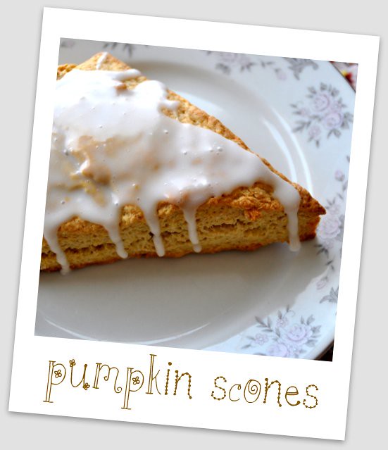 pumpkin scone