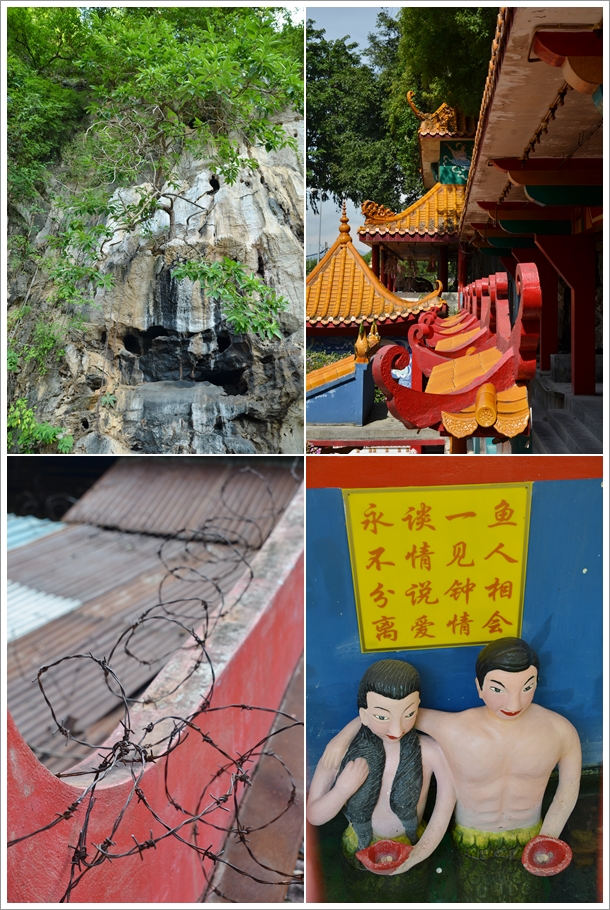 Collage of Ling Sen Tong